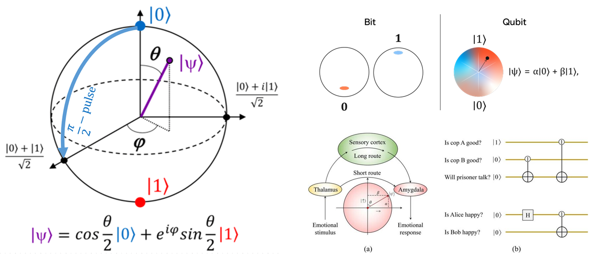 Quantum Superposition Concept Diagram